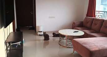 3 BHK Apartment For Rent in Khar West Mumbai 6827682