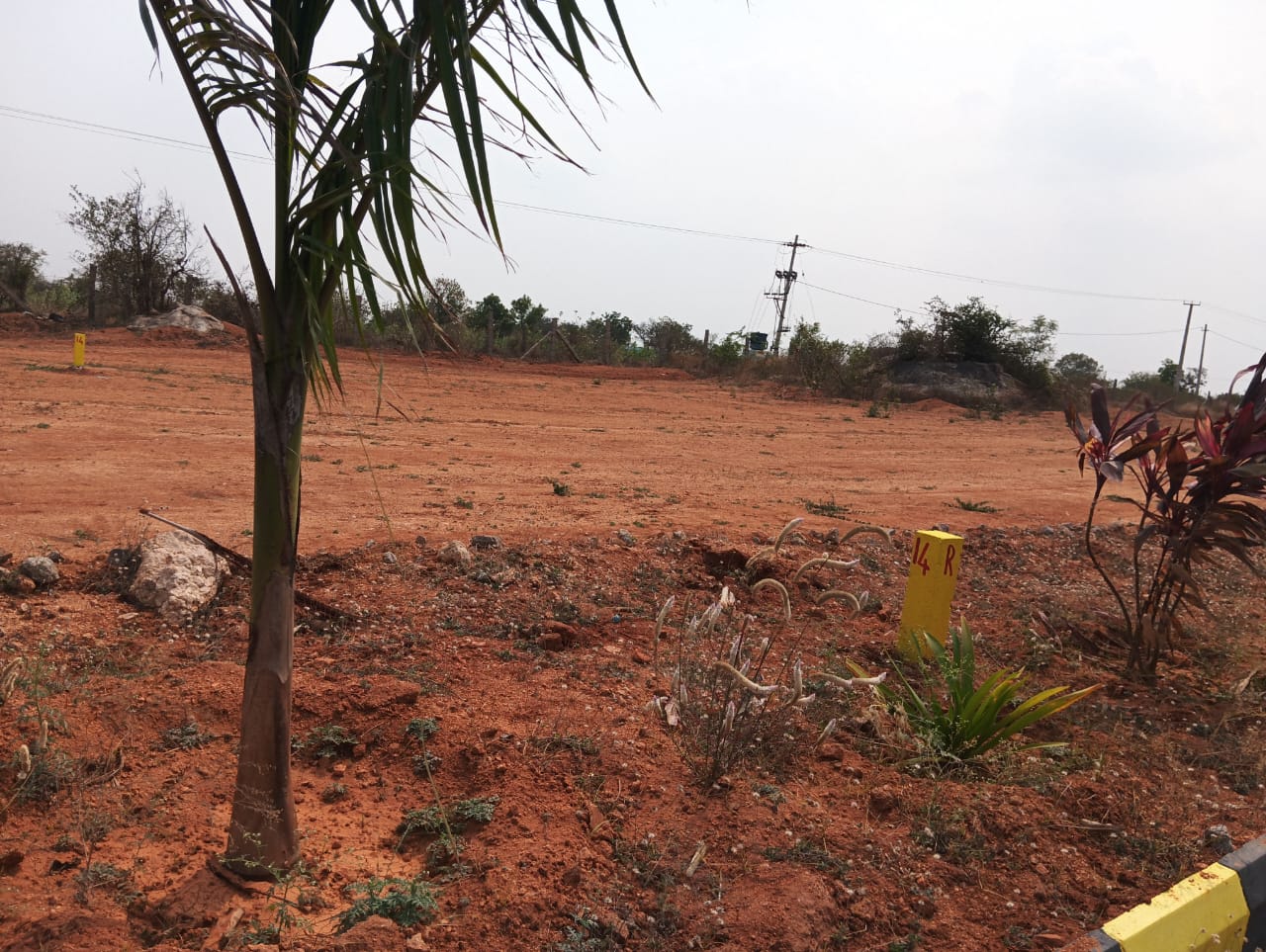 Plot For Resale in Shamshabad Hyderabad  6827842