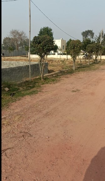 Plot For Resale in Sector 7 Gurgaon  6828022