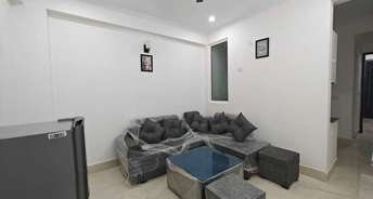 1.5 BHK Builder Floor For Rent in Anupam Enclave Saket Delhi 6828176