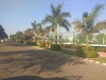  Plot For Resale in Sector 90 Mohali 6828207