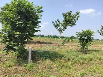 Plot For Resale in Indore Bypass Road Indore  6828391