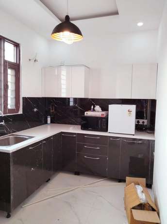 3 BHK Apartment For Rent in Royale Wind Cross Ambala Highway Zirakpur  6828623