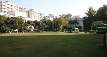 3 BHK Apartment For Rent in PWO Housing Complex Sector 43 Gurgaon 6828646