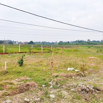 Plot For Resale in Thakuranir Chak Kolkata  6828766