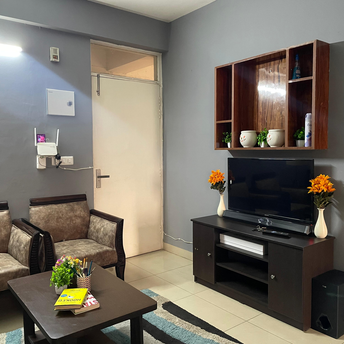 1 BHK Apartment For Rent in AVL 36 Gurgaon Sector 36 Gurgaon  6829088