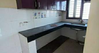 2 BHK Apartment For Rent in Ninex RMG Residency Sector 37c Gurgaon 6829590
