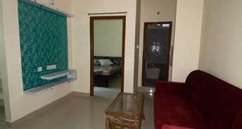 Studio Apartment For Rent in Kondapur Hyderabad 6831412
