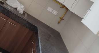 2 BHK Apartment For Rent in Wave Executive Floors Wave City Ghaziabad 6832208