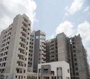 3 BHK Apartment For Rent in Sobha Saffron Harlur Bangalore 6832229