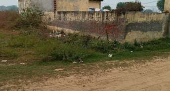  Plot For Resale in Nit Area Faridabad 6832377