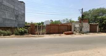  Plot For Rent in Gomti Nagar Lucknow 6832740
