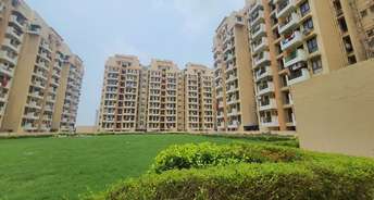 2 BHK Apartment For Rent in Ninex RMG Residency Sector 37c Gurgaon 6832865