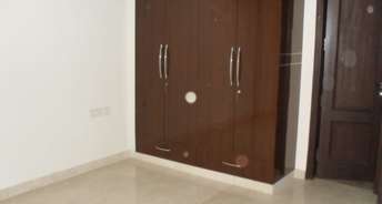 3 BHK Builder Floor For Rent in Safdarjung Development Area Delhi 6833940