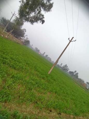 Commercial Land 5 Acre For Resale In Gayatri Puram Colony Rampur 6237767