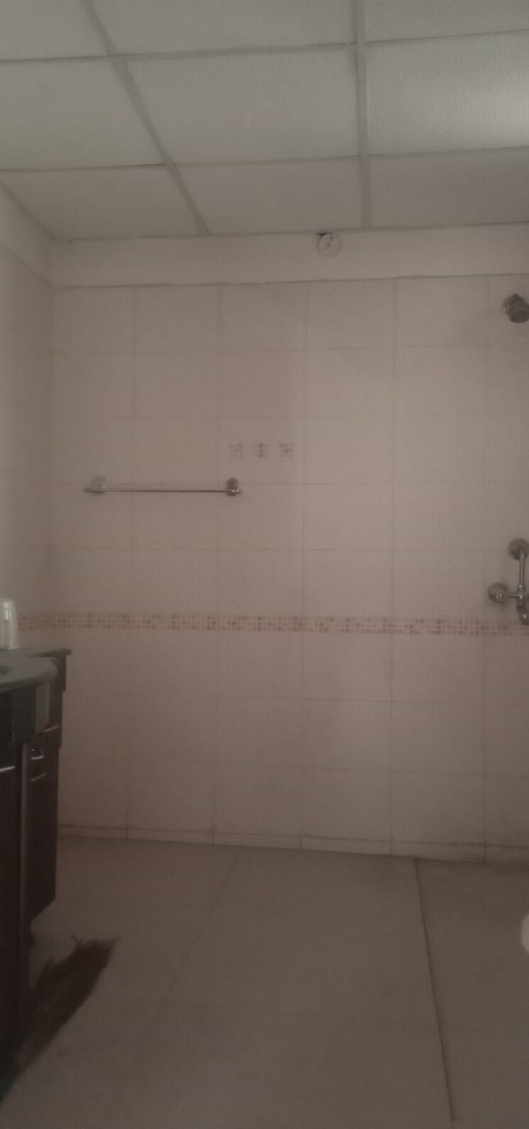 Bathroom, oasis-emerald-heights 4 Bedroom 2400 Sq.Ft. Apartment In Vaishali Sector 7 Ghaziabad 6834206