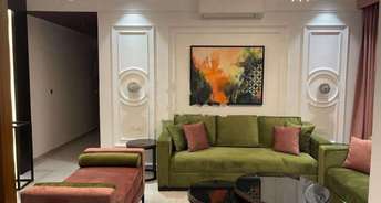 3 BHK Apartment For Rent in Tulip Leaf Sector 69 Gurgaon 6834572