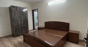 1 BHK Builder Floor For Rent in RWA Malviya Block B1 Malviya Nagar Delhi 6835207