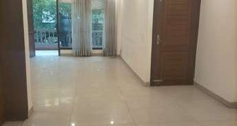 1 RK Builder Floor For Rent in Hauz Khas Delhi 6836029