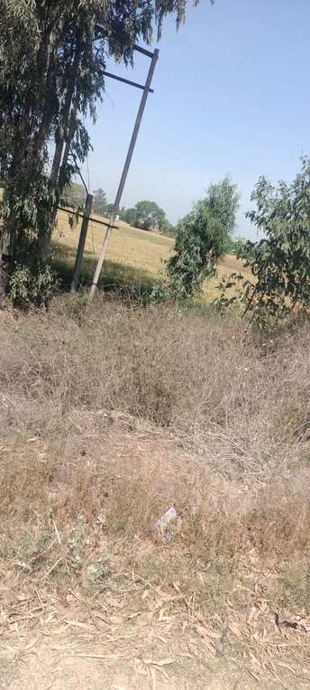 Commercial Land 5 Acre For Resale In Faridpur Panipat 6836150