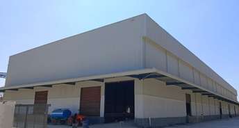 Commercial Warehouse 30000 Sq.Ft. For Rent In Nelamangala Bangalore 6836237