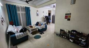 3 BHK Apartment For Resale in Amrapali Zodiac Sector 120 Noida 6836520