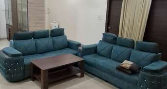 3 BHK Penthouse For Rent in Sultan Residency Tolicowki Tolichowki Hyderabad 6836529