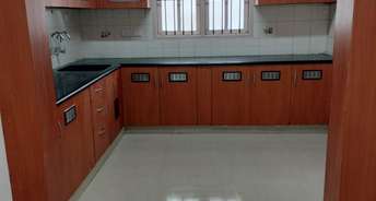 3 BHK Apartment For Resale in Comfort Sannidhi Basavanagudi Bangalore 6836579