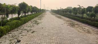 Plot For Resale in Tagore Town Allahabad  6837120