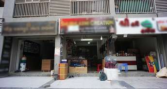 Commercial Shop 568 Sq.Ft. For Resale In Sargaasan Gandhinagar 6818745