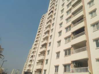 2 BHK Apartment For Resale in Balkampet Road Hyderabad 6837211