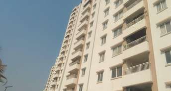 2 BHK Apartment For Resale in Balkampet Road Hyderabad 6837211