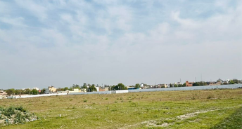  Plot For Resale in Sector 33 Sonipat 6837260