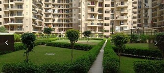 2 BHK Apartment For Resale in Noida Central Noida  6837568