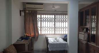 1 BHK Apartment For Rent in Bandra West Mumbai 6837721