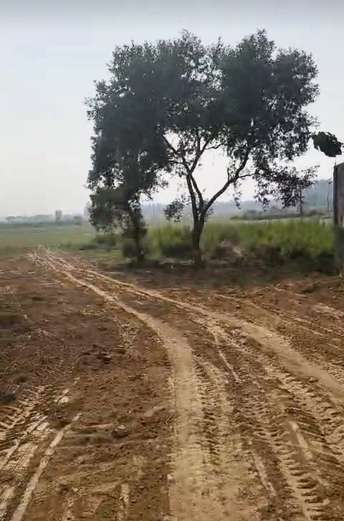  Plot For Resale in Sitapur Road Lucknow 6837867