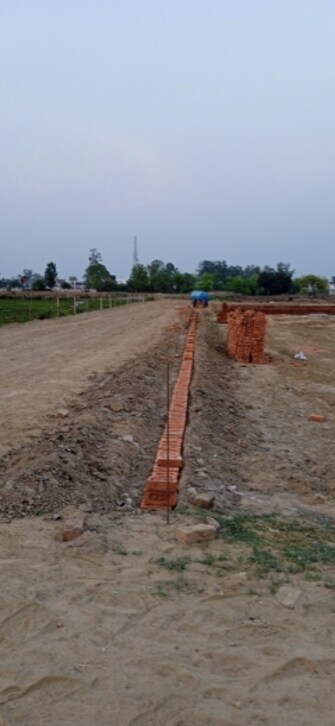 Plot For Resale in Safedabad Lucknow  6837903