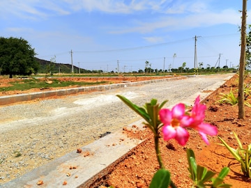 Plot For Resale in Kadthal Hyderabad  6838077