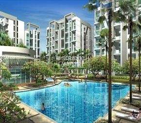 3 BHK Apartment For Rent in Rohan Tarang Wakad Pune 6838303