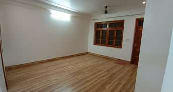 2 BHK Independent House For Rent in Gomti Nagar Lucknow 6838488