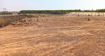 Commercial Land 1 Acre For Resale In Devanahalli Bangalore 6839573