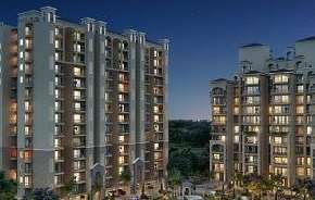 3 BHK Apartment For Rent in Allwin El Spazia Sanauli Zirakpur 6839981