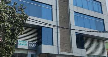 Commercial Showroom 11500 Sq.Ft. For Resale In Hsr Layout Bangalore 6815587