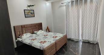 3 BHK Builder Floor For Rent in Sector 15 ii Gurgaon 6840173