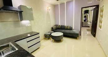 3 BHK Apartment For Rent in Saket Delhi 6840758