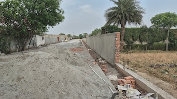 Plot For Resale in Jajru Faridabad  6840914