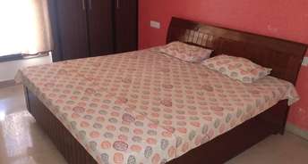 3 BHK Apartment For Rent in Maya Garden City Lohgarh Zirakpur 6841035