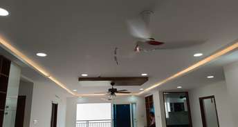 3.5 BHK Apartment For Rent in Aparna Sarovar Zenith Nallagandla Hyderabad 6841129