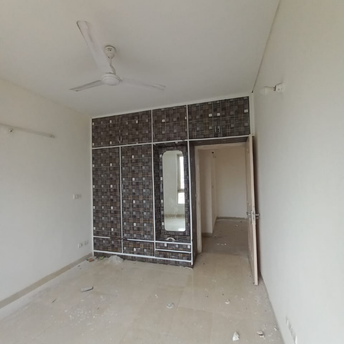 3 BHK Apartment For Rent in Tulip White Sector 69 Gurgaon  6841348