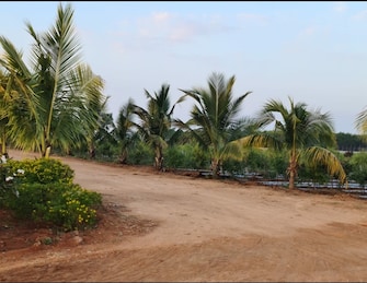 Plot For Resale in Shadnagar Hyderabad  6841405